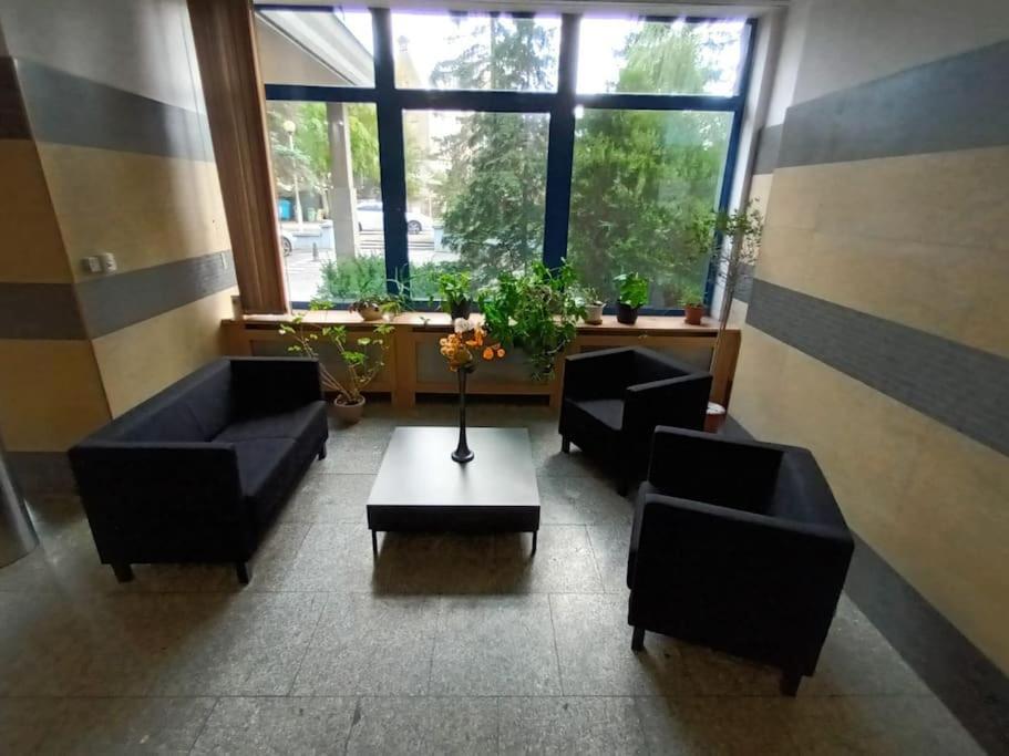 Fantastic Zg - S4 Pokoj 204 Zielona Gora  Bagian luar foto